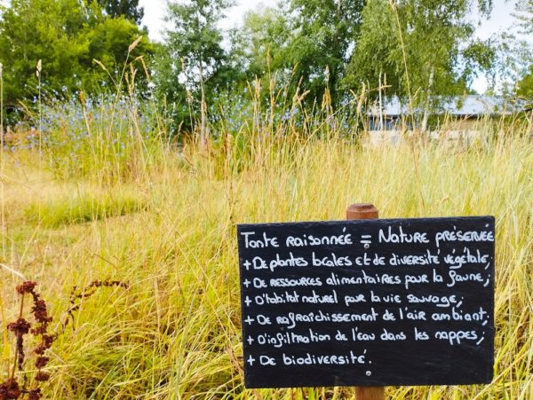 AEM, l’engagement pour l’environnement.