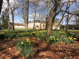 Pack Logement : loger vos recrutements en Sologne | GIR